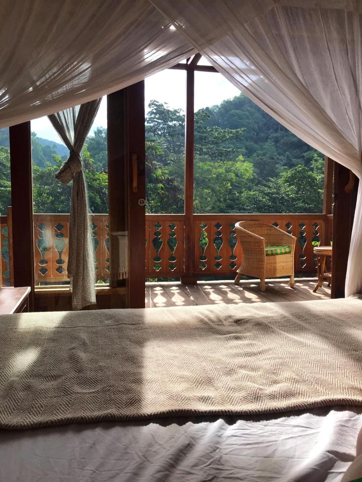 Rambai Tree Jungle Lodges Bukit Lawang Zewnętrze zdjęcie