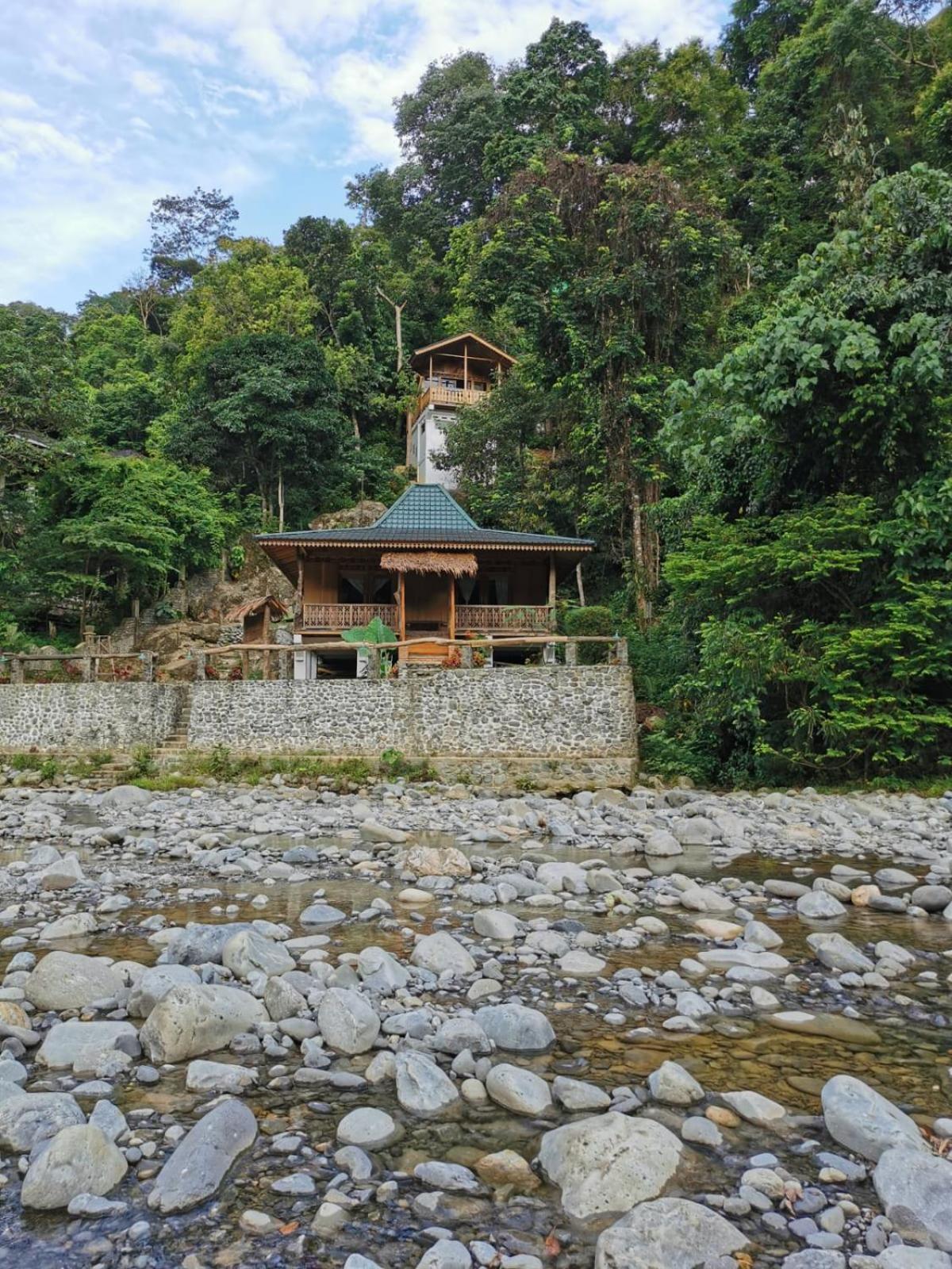 Rambai Tree Jungle Lodges Bukit Lawang Zewnętrze zdjęcie