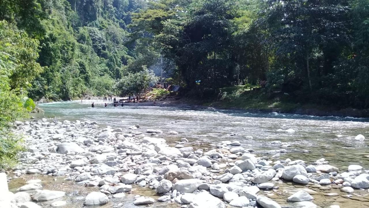 Rambai Tree Jungle Lodges Bukit Lawang Zewnętrze zdjęcie